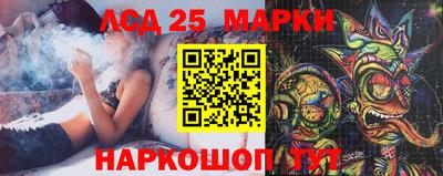 a pvp Гатчина