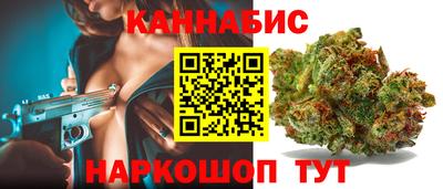 a pvp Гатчина