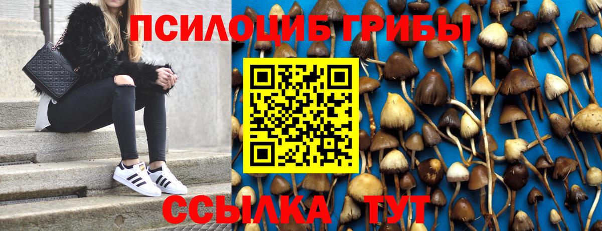 Псилоцибиновые грибы мухоморы Горно-Алтайск