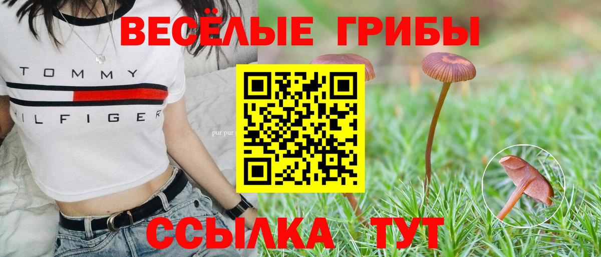 Псилоцибиновые грибы Psilocybine cubensis  Вход с VPN  магазин  наркотиков  Горно-Алтайск 